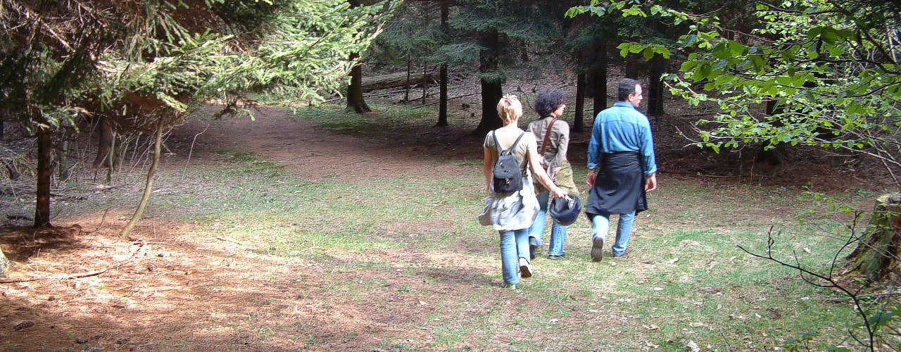 Trekking Gravedona Lago di Como