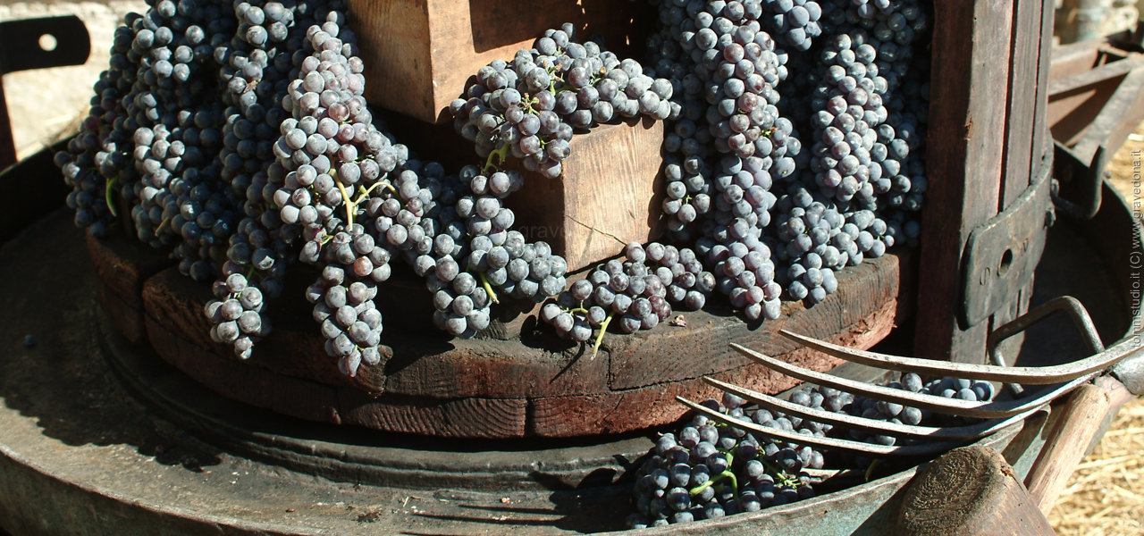 vino lago di Como Gravedona lake Como